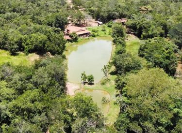 Chácara Renascer com 48,400 metros quadrados a venda em Pirenópolis.