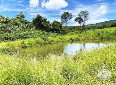 chacara-a-venda-em-pirenopolis-com-um-rio-passando-dentro-da-propriedade
