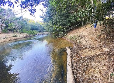 Chácara de 20 mil metros quadrados à venda, com pomar já em produção