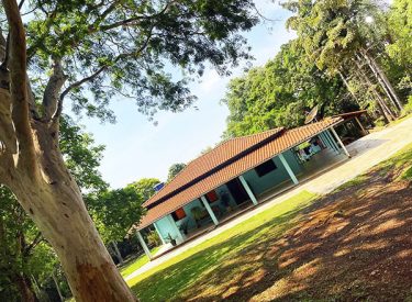 Chácara de 20 mil metros quadrados à venda em Pirenópolis